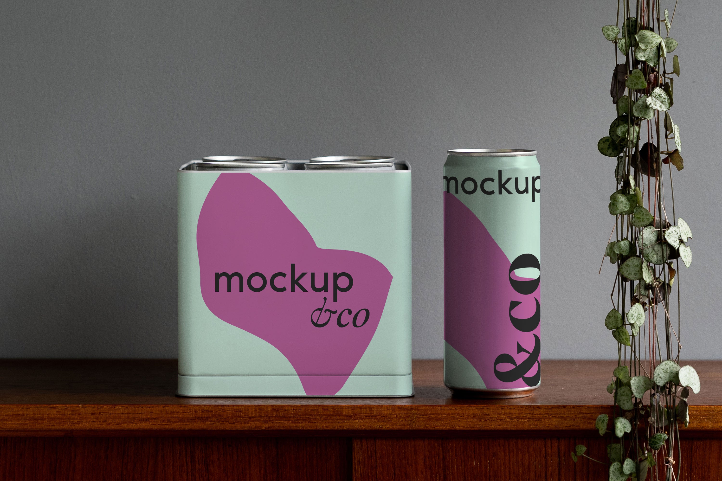 Can and box 01